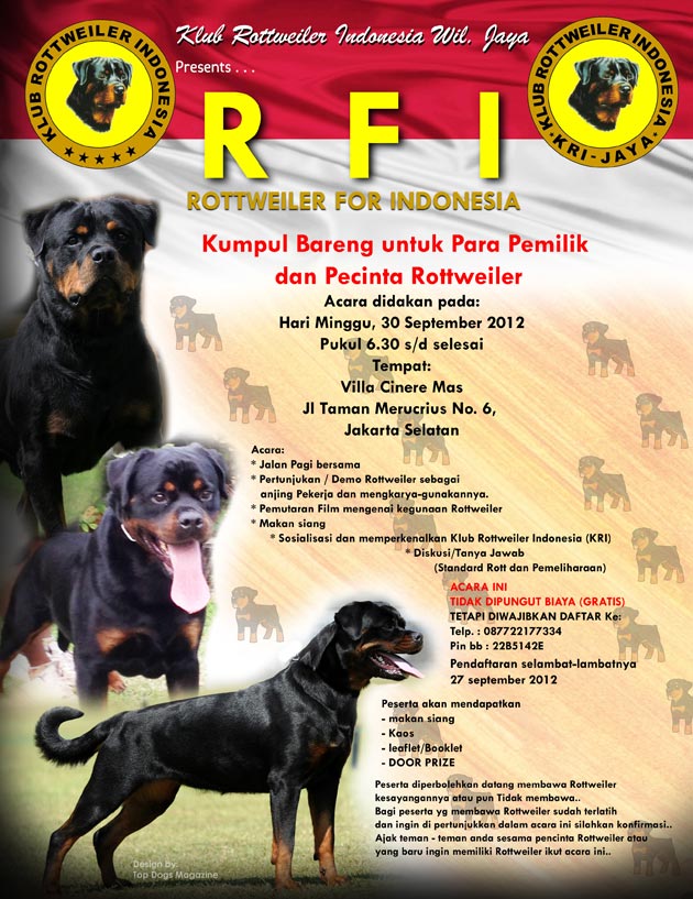 Rottweiler For Indonesia