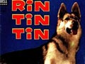 Rin Tin Tin, Dari Masa Ke Masa