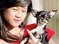 10 Perjanjian Sebelum Memelihara Anjing