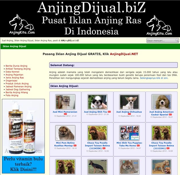 Iklan Anjing Dijual : AnjingDijual.biZ