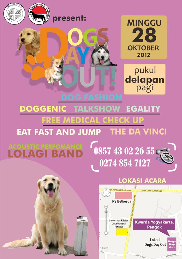 Dogs Day Out