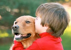 Anjing Kurangi Masalah Perilaku Anak Autis