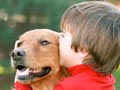 Anjing Kurangi Masalah Perilaku Anak Autis