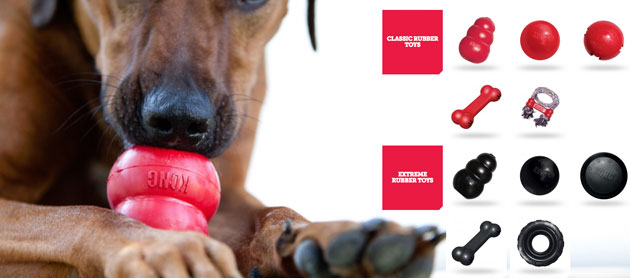 KONG Toys Dog