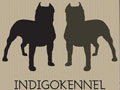 Indigo Bullies
