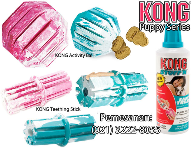 Mainan Untuk Anak Anjing (KONG)
