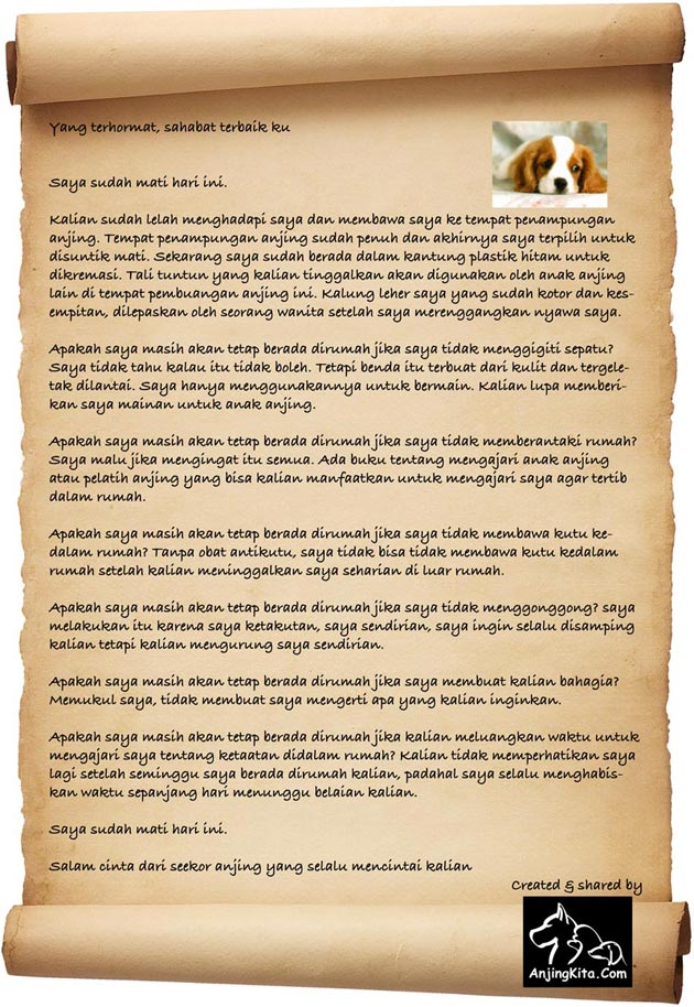 Mau Pelihara Anjing? Baca Surat Ini 