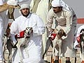 Orang Islam Boleh Memelihara Anjing?