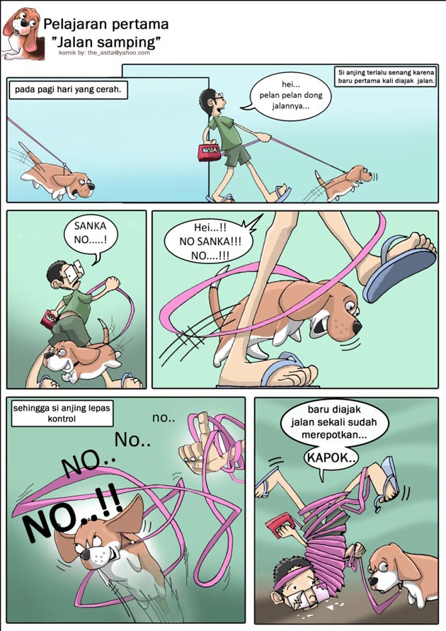 Ajak Anjing Anda Jalan-Jalan Setiap Hari