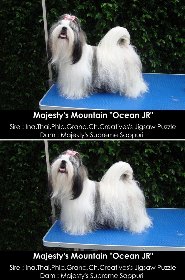 Majesty's Mountain 