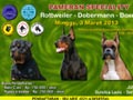 Pameran Anjing Rottweiler, Dobermann & Boxer