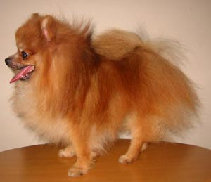 Carla Von Haus Fitrin