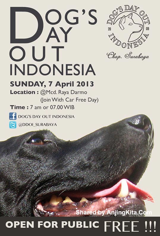 DOG's DAY OUT INDONESIA (Surabaya)