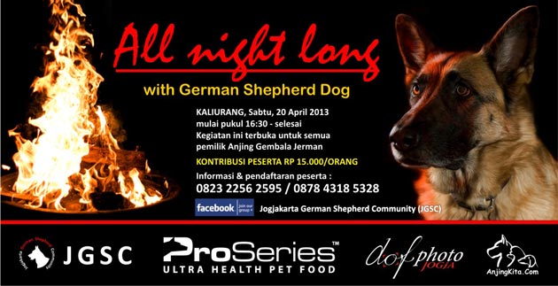 All Night Long With German Shepherd Dog