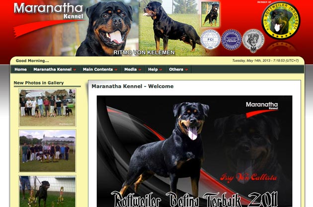 Perubahan Domain Website Maranatha Kennel