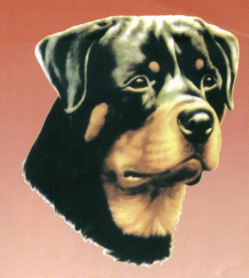 Pameran KRI Wilayah Jateng