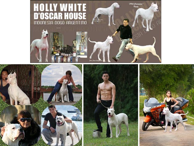 Holly White D'oscar House