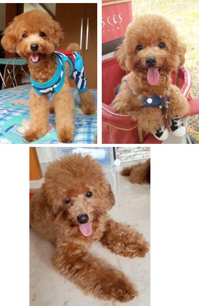 Castiel Von Gizfon