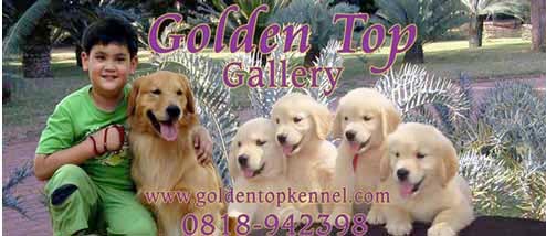 Obat Kutu, Jamur & Sakit Kulit Tradisional