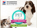 Pet Of The Month