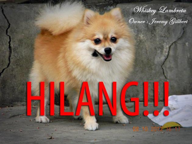 Pom Hilang di Perumahan Kali Deres Permai, Jakarta Barat