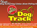 Dogs Gathering Outbond di Alam Liar!