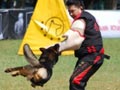 Perkin Jaya IPO Circuit Competition 2014