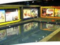 Berenang Gratis Untuk Anjing Anda @ Pet Station Pluit