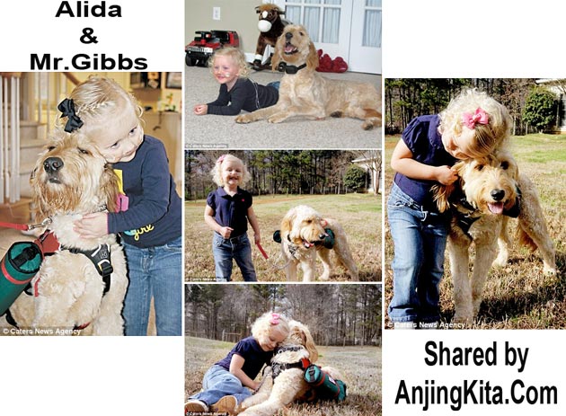 Anjing Ini Membantu Anak Kecil Tetap Hidup