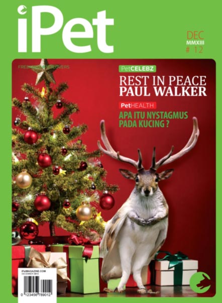 iPet Magazine Indeks Edisi 12