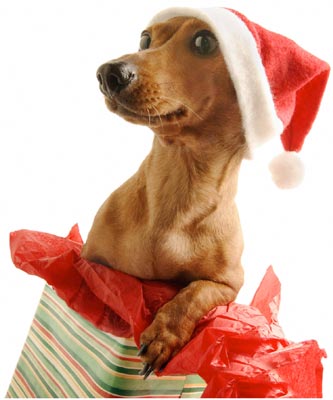Walk With Santa Claus