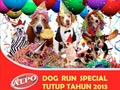 Alpo-Dog Run Special Tutup Tahun 2013