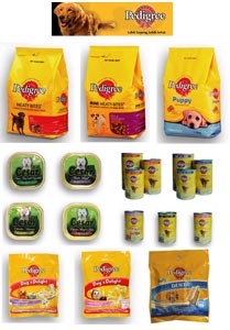 10 Pemenang Peserta Polling Pedigree 2