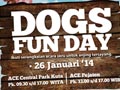 Dogs Fun Day by ACE & ALPO