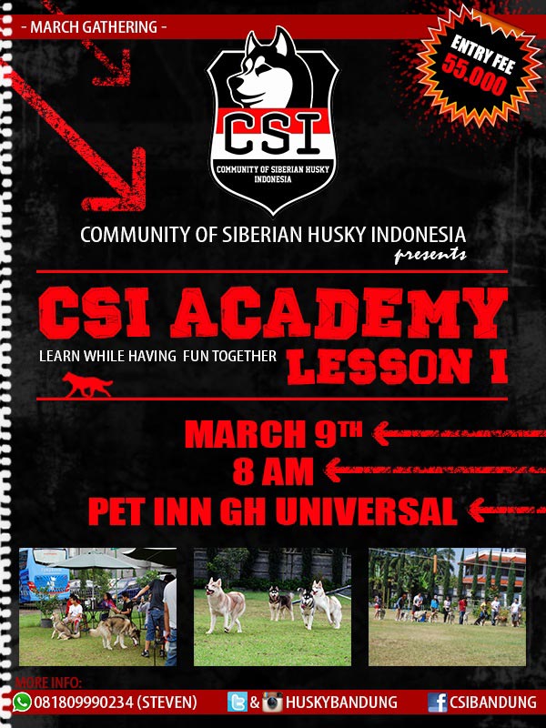Husky Lover Gathering : CSI Academy Lesson 1