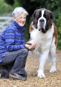 Anjing Besar = Tanggung Jawab Besar