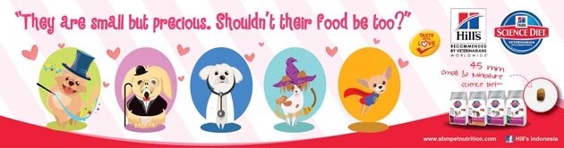 Your Lovely Small & Toy Breed