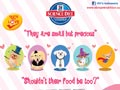 Your Lovely Small & Toy Breed