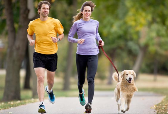 5 Cara Anjing Dapat Membuat Anda Sehat 