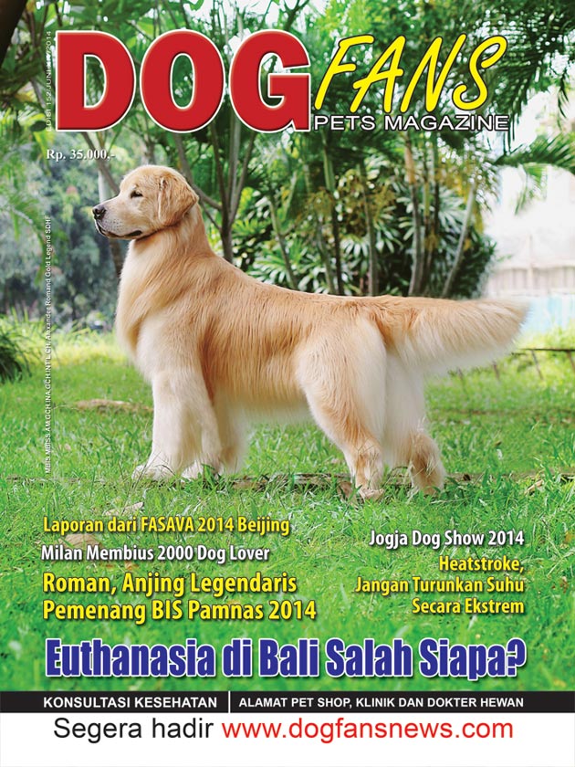 Indeks Dogfans Edisi 152/5 Juni 2014