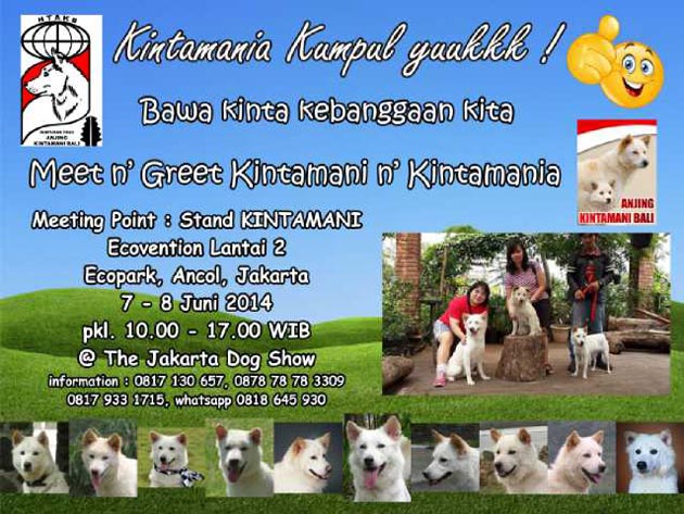 Meet n Greet Kintamani n Kintamania