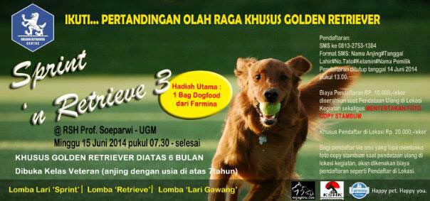 Sprint N Retrieve #3