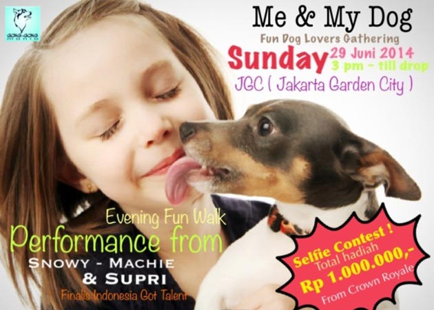 Me & My Dogs | Fun Dog Lovers Gathering