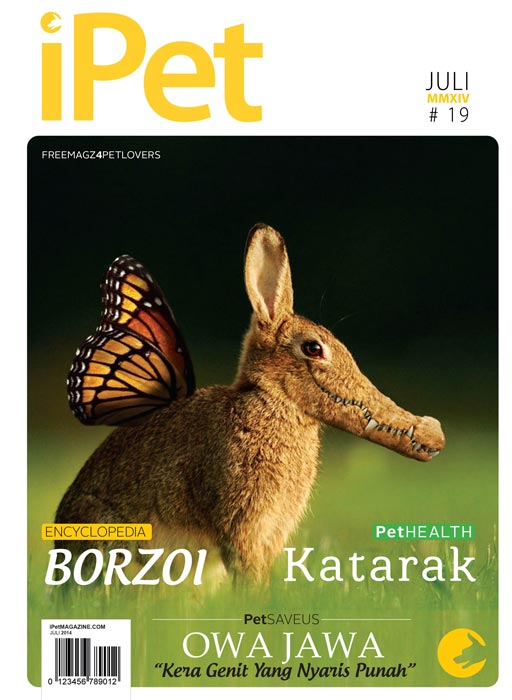 Indeks Edisi 18 iPet Magazine