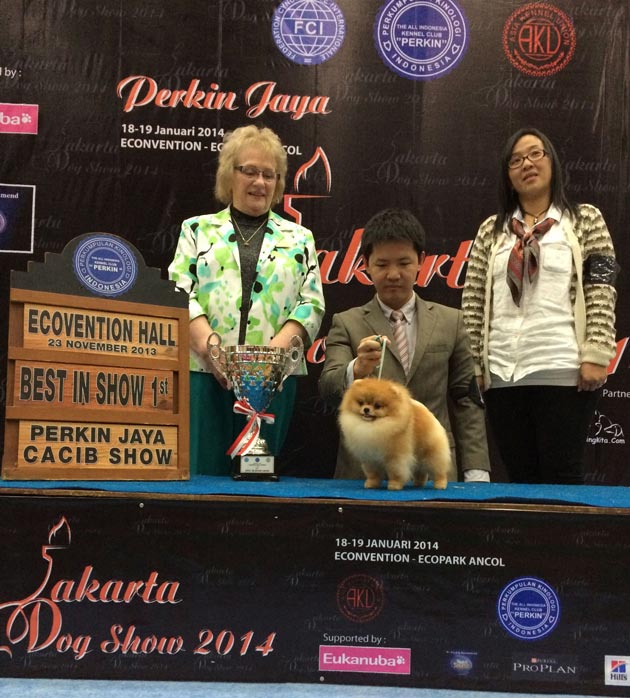 Joe Hauze Pomeranian Kennel