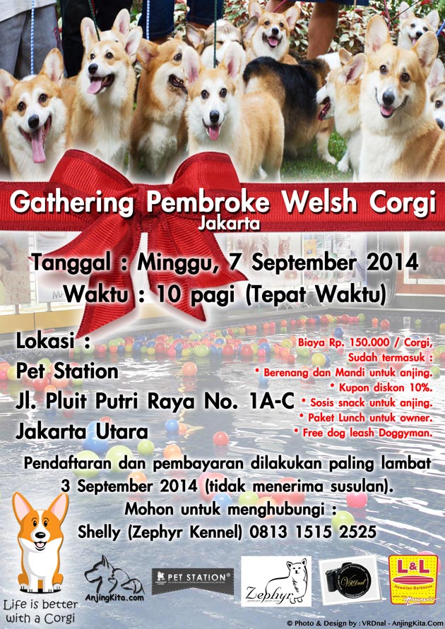 Corgi Lovers Gathering @Pet Station Pluit