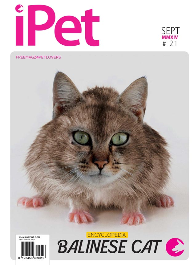 iPet Magazine Edisi 21