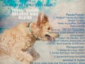 Jump & Hunt #1 by GRC (GOLDEN RETRIEVER CENTER)