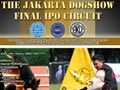 Final IPO Circuit