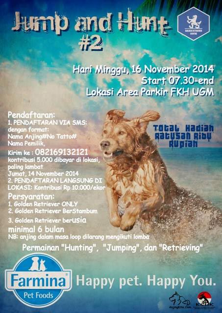 Golden Retriever Centre JUMP 'n HUNT #2